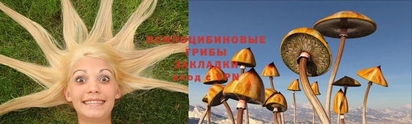 гидропоника Абинск